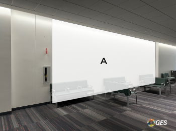 Picture of S1.5-CL10