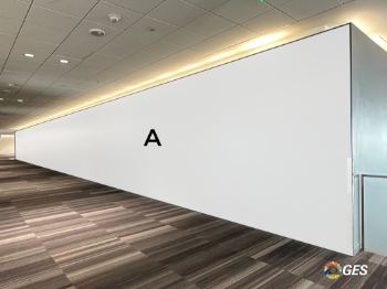 Picture of S1.5-CL8