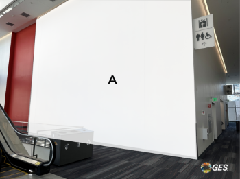 Picture of S2-CL2
