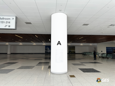 Picture of N1-COL4